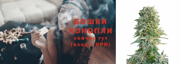 спиды Верея