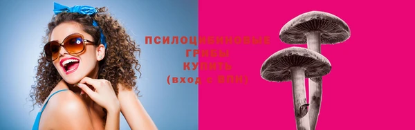 спиды Верея