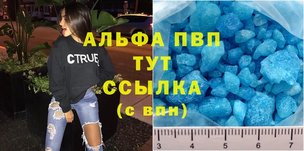 спиды Верея