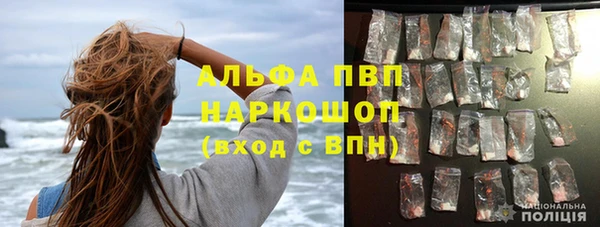 спиды Верея