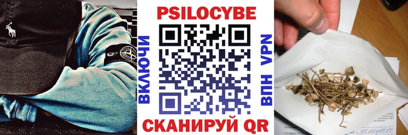 Псилоцибиновые грибы мицелий  где купить наркоту  дарк нет как зайти  Махачкала 